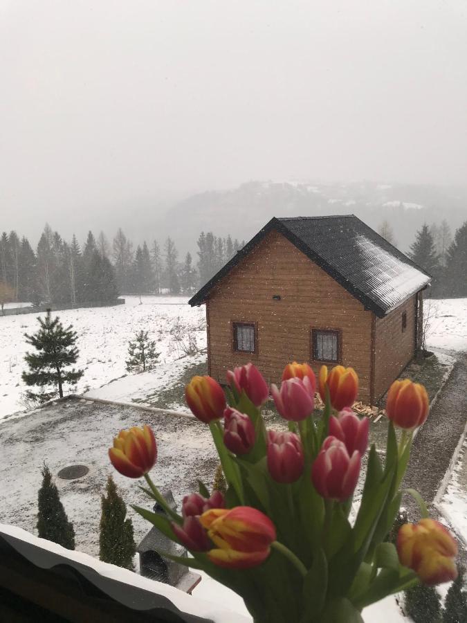 Domki Zlota Rybka Nad Jeziorem Solinskim Zawoz Luaran gambar