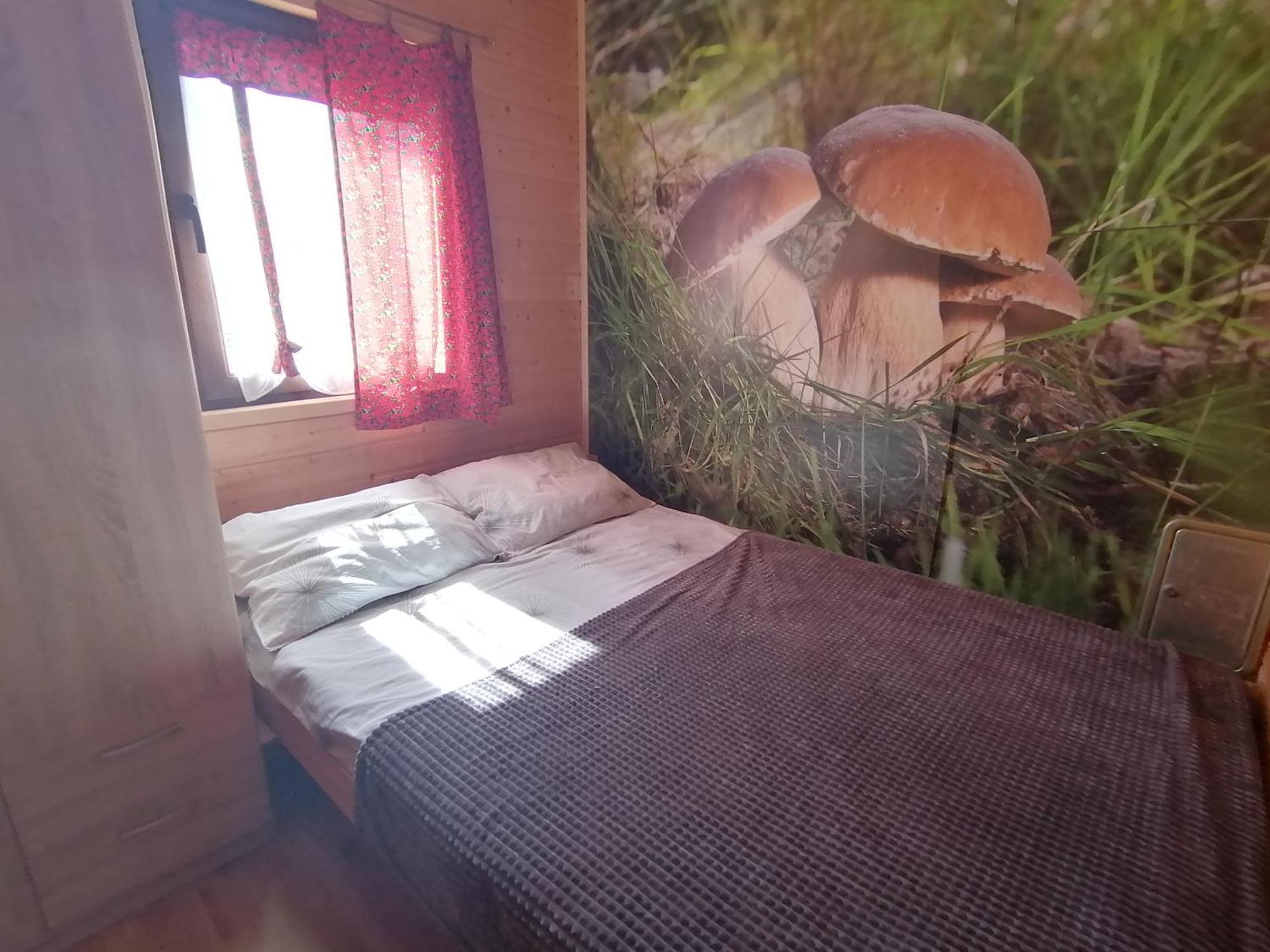 Domki Zlota Rybka Nad Jeziorem Solinskim Zawoz Luaran gambar